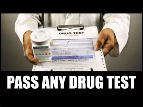 pass any drug test